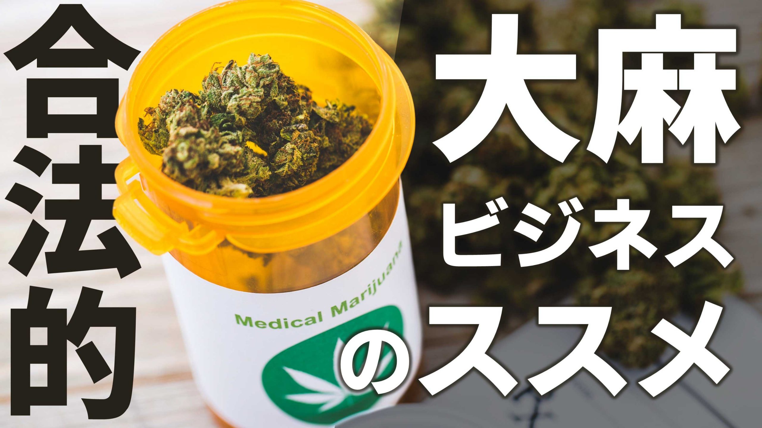 誤解されがちな医療大麻のリアルと 大麻ビジネスの可能性 Kiki Legalizejapan サンクチュアリ出版 ほんよま
