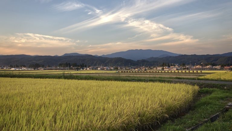 後悔しないために！田舎移住を考えるなら押さえておきたいポイント